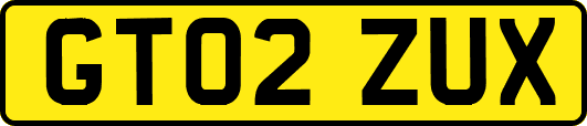 GT02ZUX