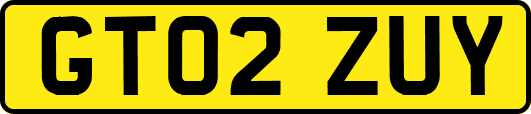 GT02ZUY