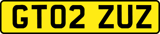 GT02ZUZ