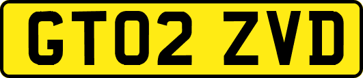 GT02ZVD