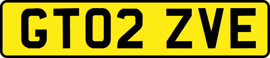 GT02ZVE