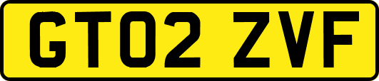 GT02ZVF