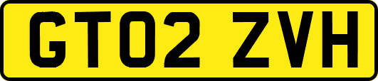 GT02ZVH