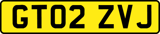 GT02ZVJ