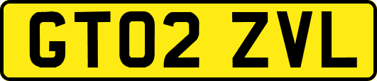 GT02ZVL