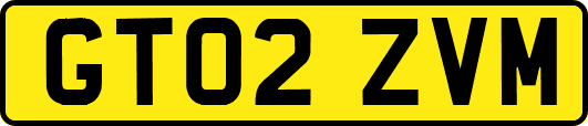 GT02ZVM