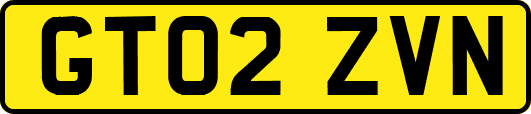 GT02ZVN
