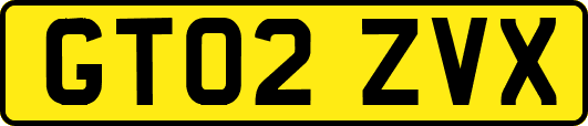 GT02ZVX