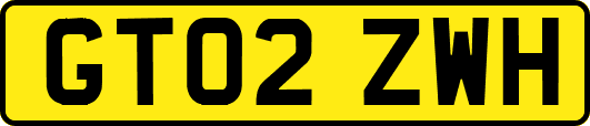 GT02ZWH