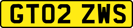 GT02ZWS