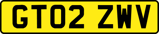 GT02ZWV