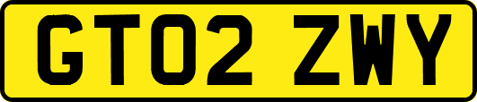GT02ZWY