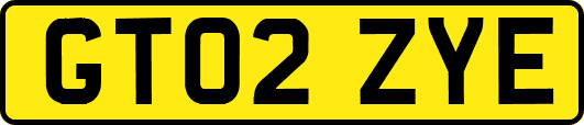 GT02ZYE