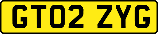 GT02ZYG