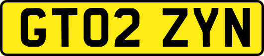 GT02ZYN