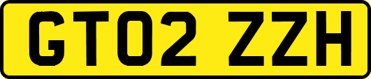 GT02ZZH