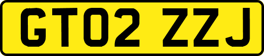 GT02ZZJ