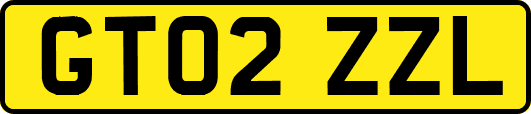 GT02ZZL