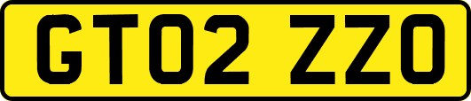 GT02ZZO