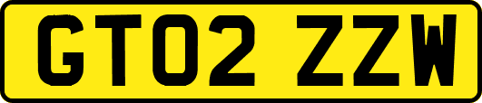 GT02ZZW