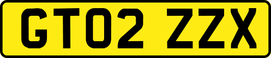 GT02ZZX