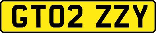 GT02ZZY