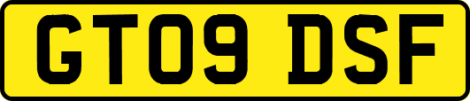 GT09DSF
