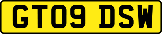 GT09DSW