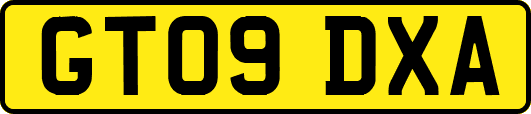 GT09DXA