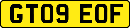 GT09EOF