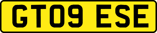 GT09ESE