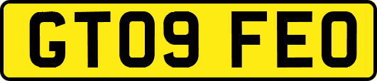 GT09FEO