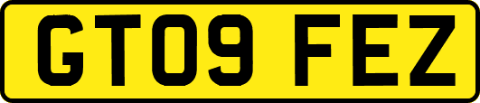 GT09FEZ