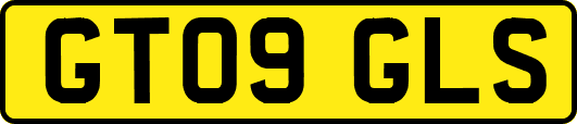 GT09GLS