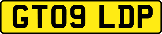 GT09LDP