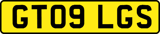 GT09LGS