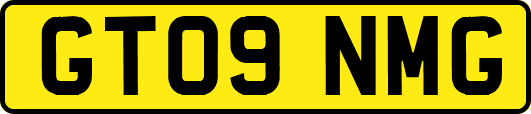 GT09NMG