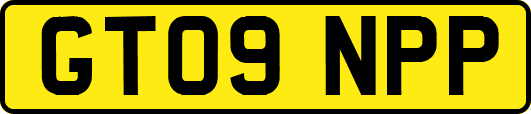 GT09NPP