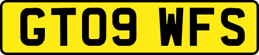 GT09WFS