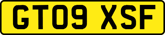 GT09XSF