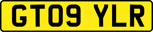 GT09YLR