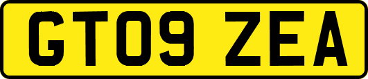 GT09ZEA