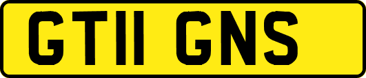 GT11GNS