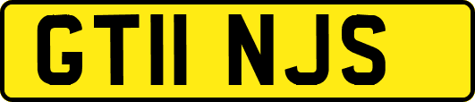 GT11NJS