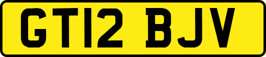 GT12BJV