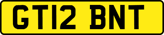 GT12BNT