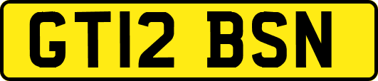 GT12BSN