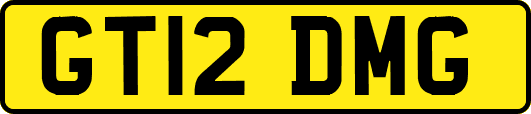 GT12DMG