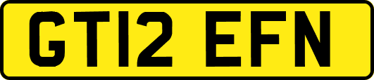 GT12EFN