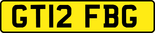 GT12FBG